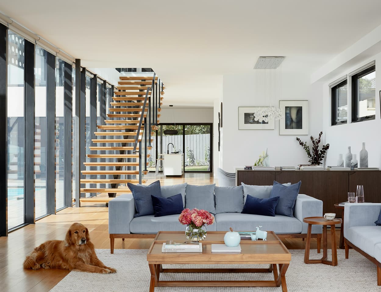 Dog in pretty open layout living room